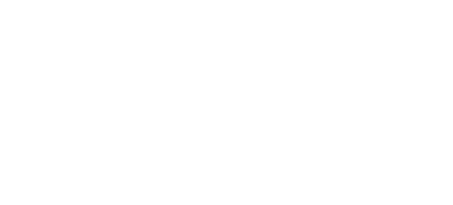 Hottgenroth Software AG Logo