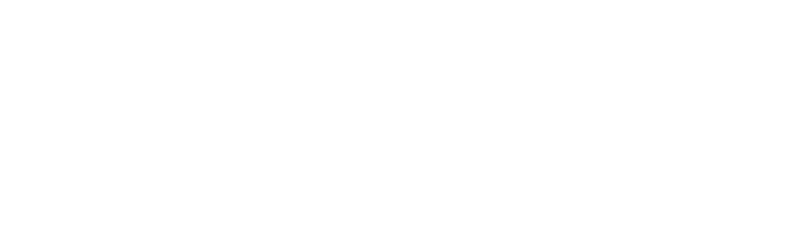 PLAN4-Logo