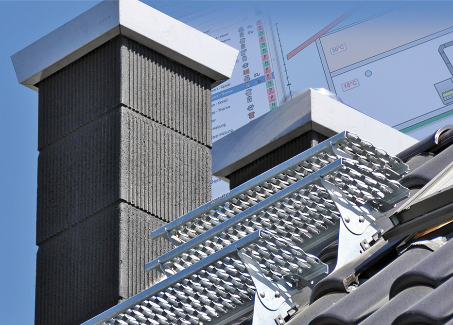 Der Schimmel Experte